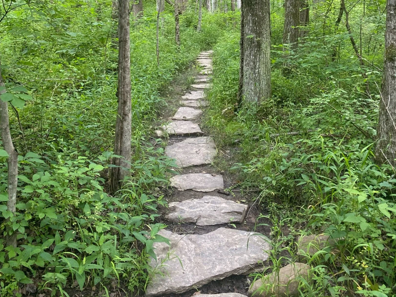 Herrontown Woods, United States